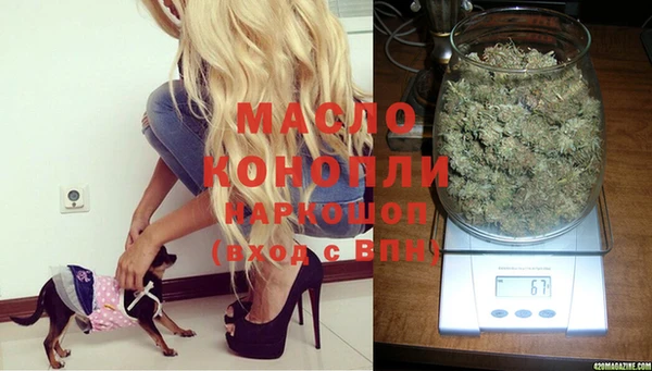 молекула духа Навашино