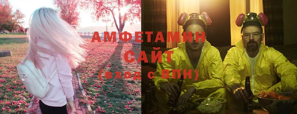 прущие грибы Наволоки