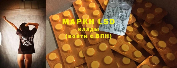 прущие грибы Наволоки