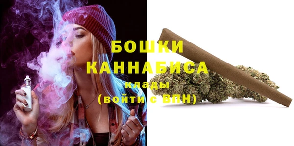 молекула духа Навашино