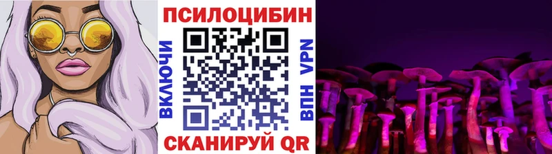 Купить  Сычёвка  Галлюциногенные грибы GOLDEN TEACHER 